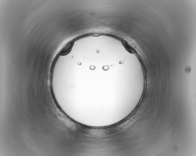 X0000093091232200710241154