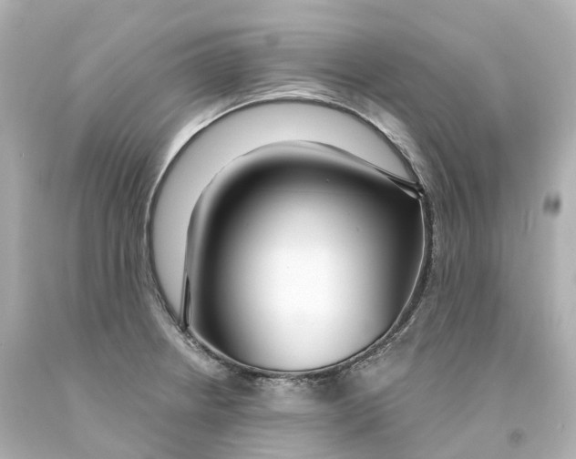 X0000093091234200710241154
