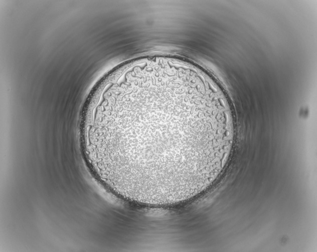 X0000093091235200710241154
