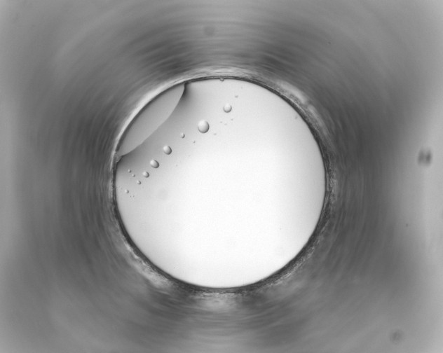 X0000093091236200710241154