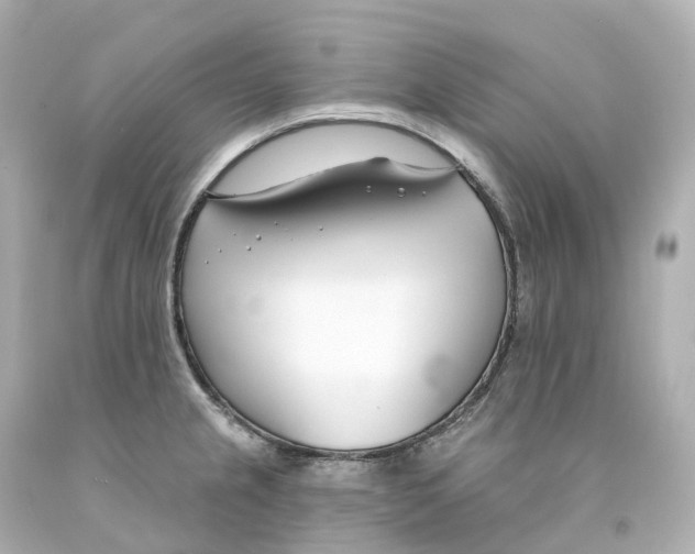 X0000093091237200710241154