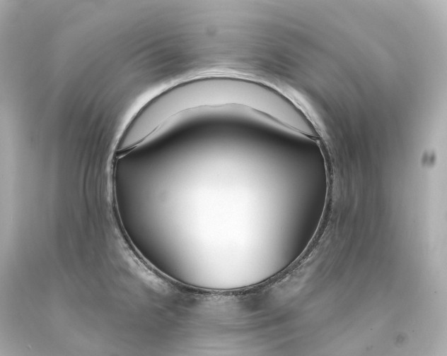 X0000093091238200710241154