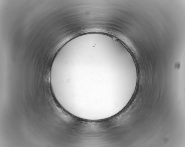 X0000093091241200710241154
