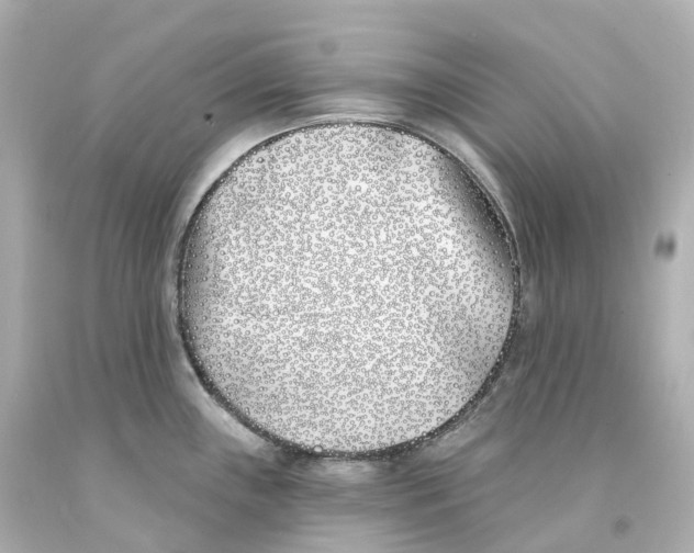 X0000093091243200710241154