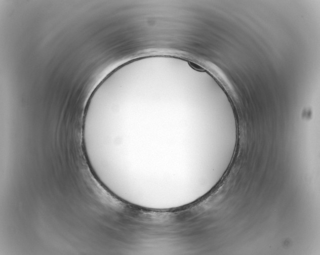 X0000093091244200710241154
