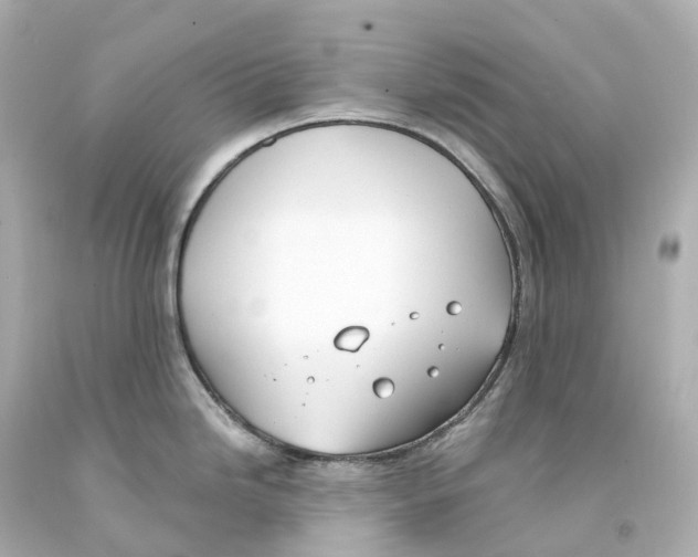 X0000093091246200710241154