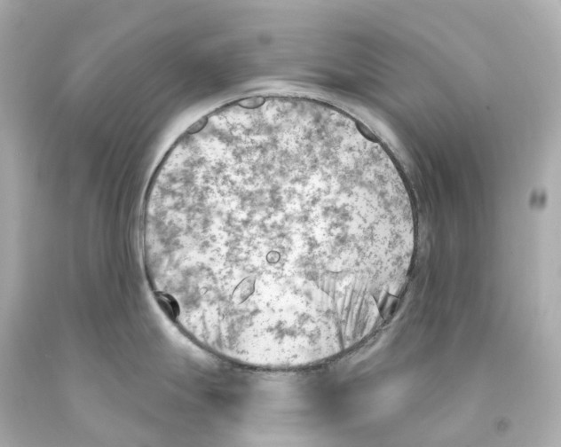 X0000093091247200710241154