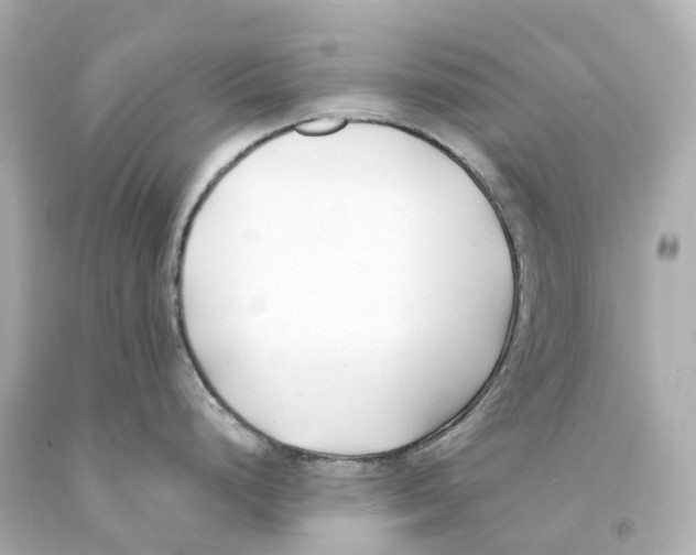 X0000093091248200710241154