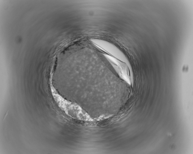 X0000093091249200710241154