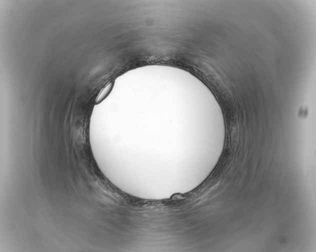 X0000093091250200710241153