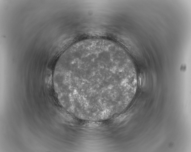 X0000093091251200710241153
