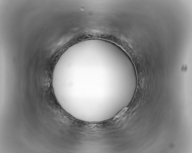 X0000093091253200710241153