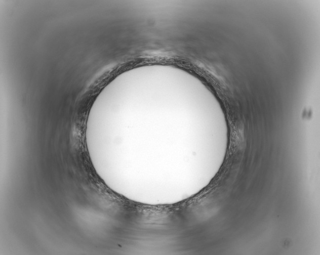 X0000093091254200710241153