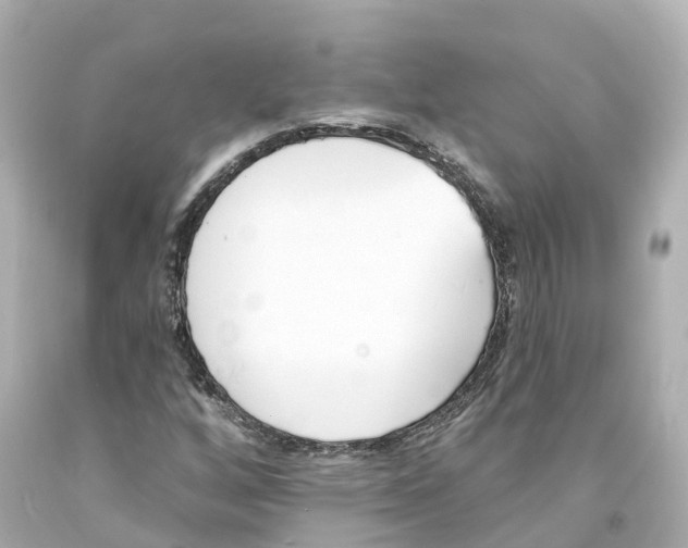 X0000093091256200710241153