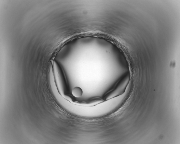 X0000093091257200710241153