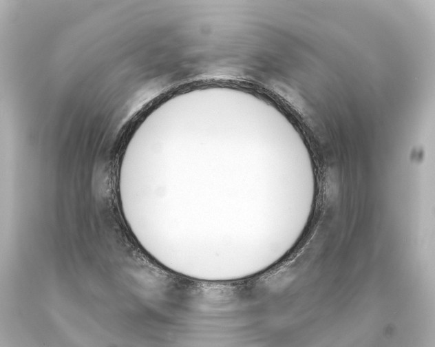 X0000093091258200710241153