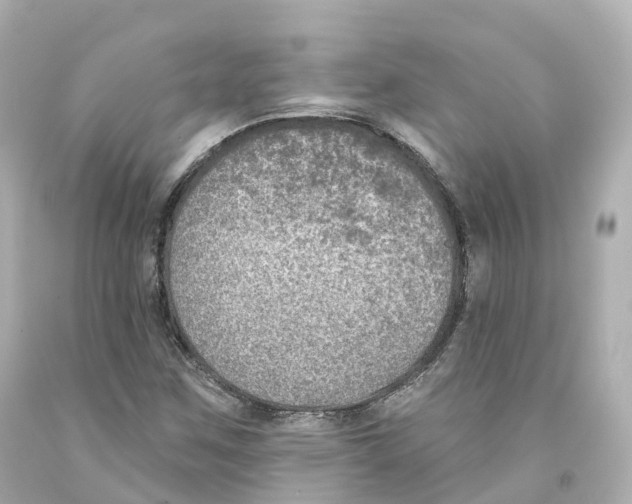 X0000093091259200710241153