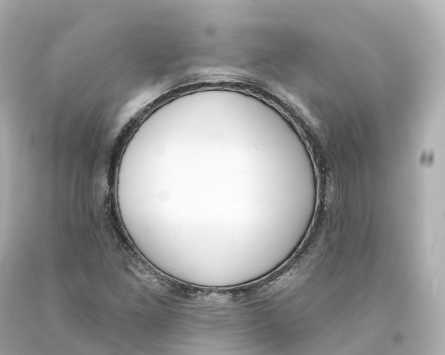 X0000093091261200710241153