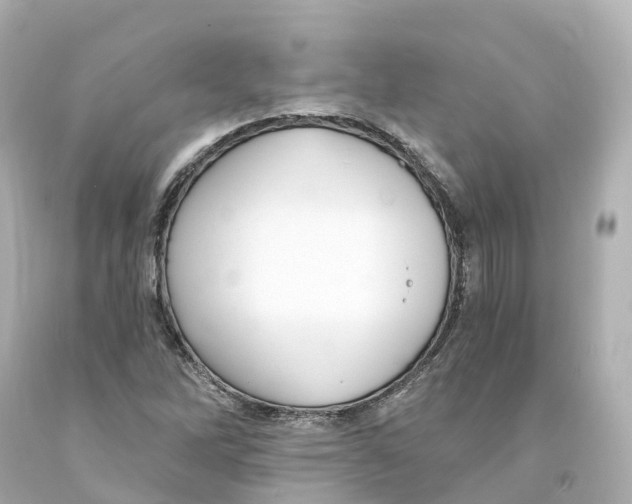 X0000093091262200710241153