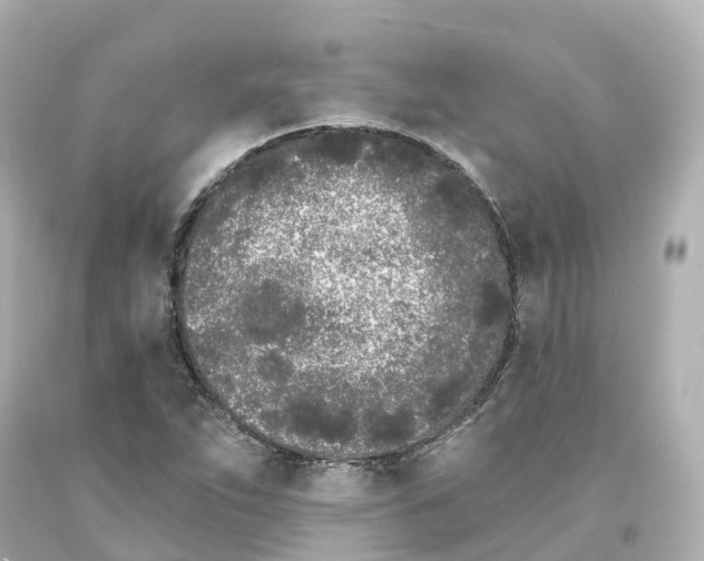 X0000093091263200710241153