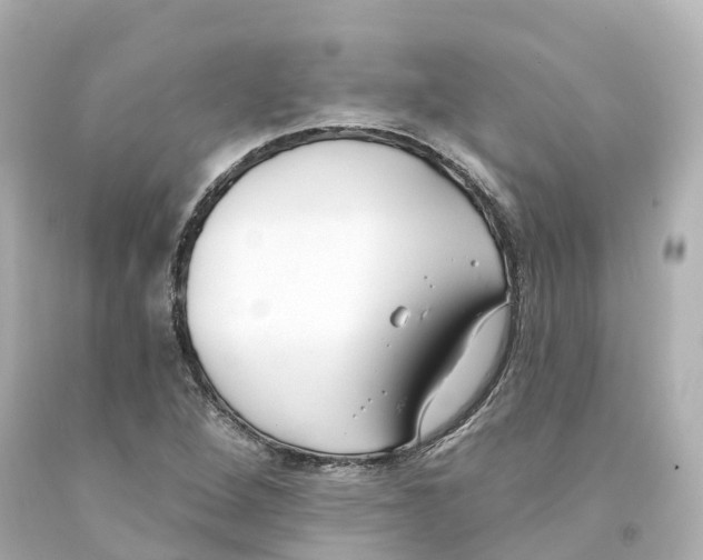 X0000093091264200710241153