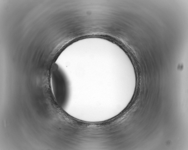 X0000093091265200710241153
