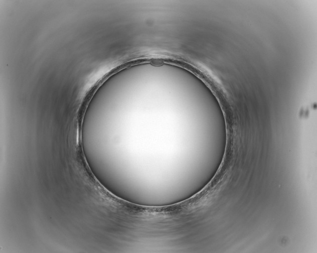 X0000093091269200710241153
