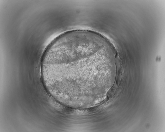 X0000093091271200710241153