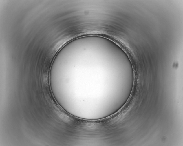 X0000093091273200710241153