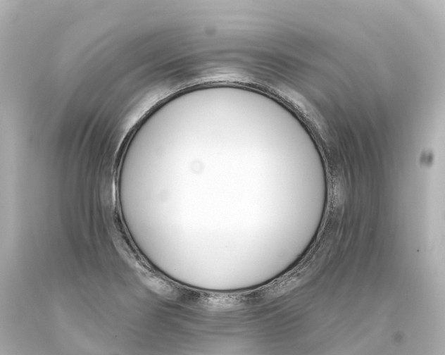 X0000093091274200710241153