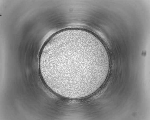 X0000093091275200710241153