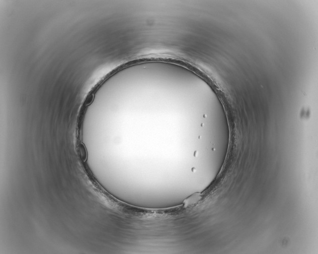 X0000093091277200710241153