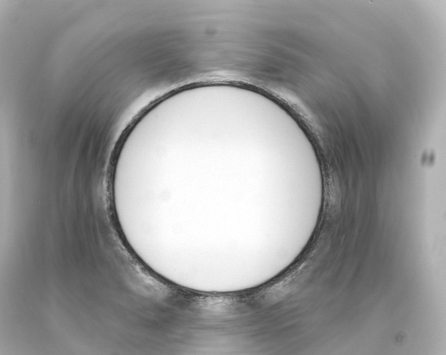 X0000093091278200710241153