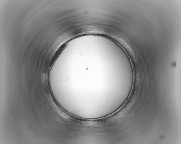 X0000093091281200710241153