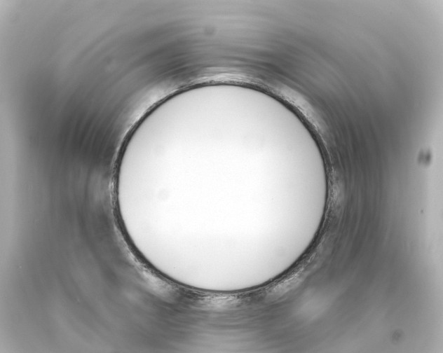 X0000093091282200710241153