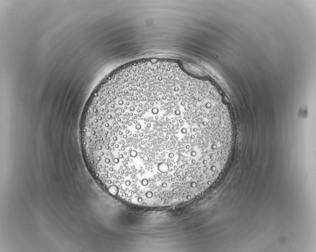X0000093091283200710241153