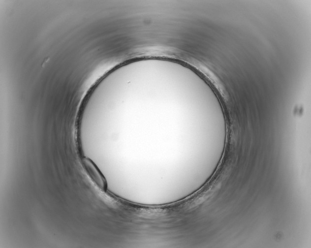 X0000093091285200710241153