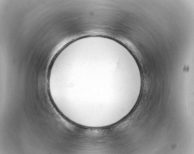 X0000093091286200710241153