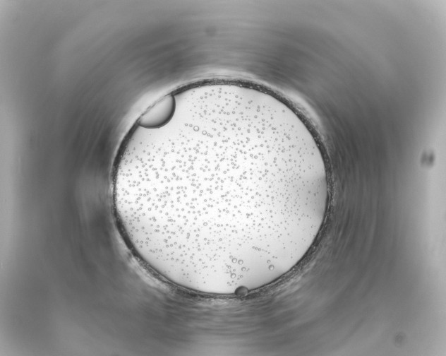 X0000093091287200710241153