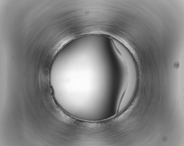 X0000093091289200710241153