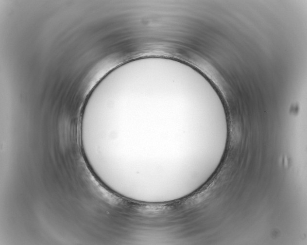 X0000093091290200710241153
