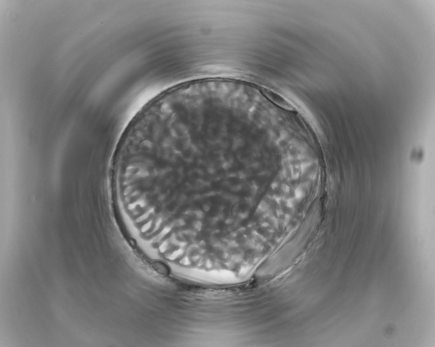X0000093091291200710241153