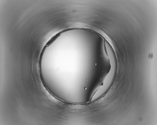 X0000093091293200710241153