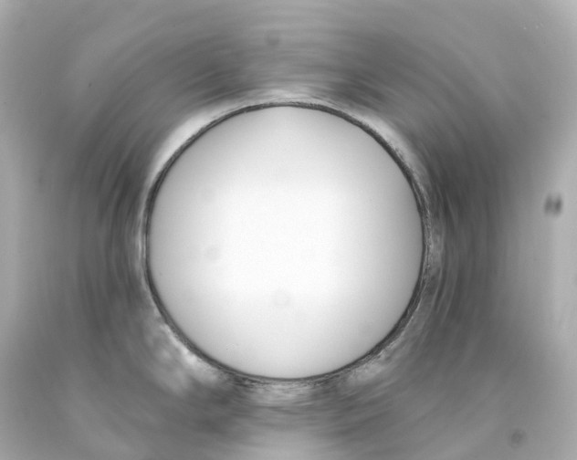 X0000093091294200710241153