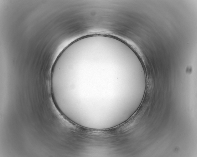 X0000093091295200710241153
