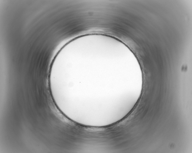 X0000093091296200710241153