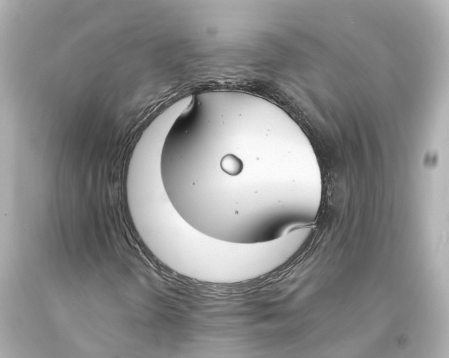 X0000093091298200710241152