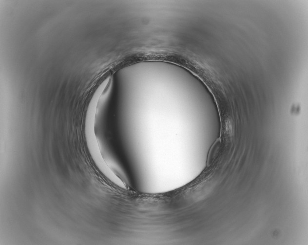 X0000093091300200710241152
