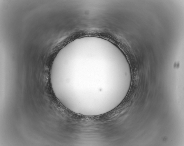 X0000093091301200710241152