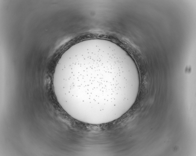 X0000093091302200710241152